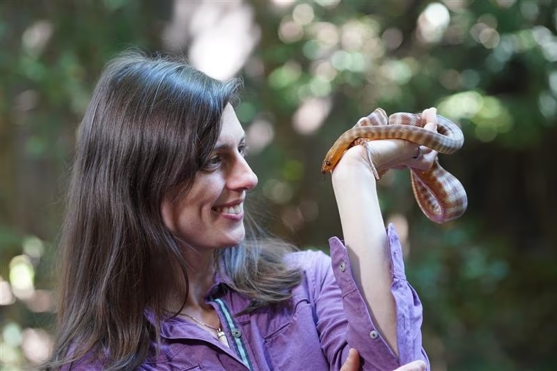 Dr Christina Zdenek holding a snake